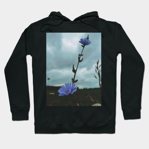 Wildflowers Hoodie by hgrasel